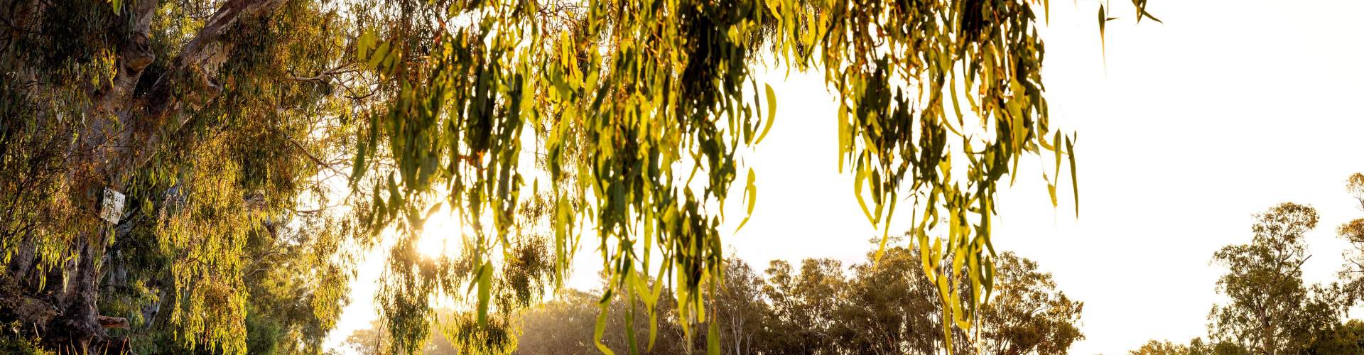 Stay 4, Pay 3 midweek at BIG4 Deniliquin 